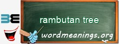 WordMeaning blackboard for rambutan tree